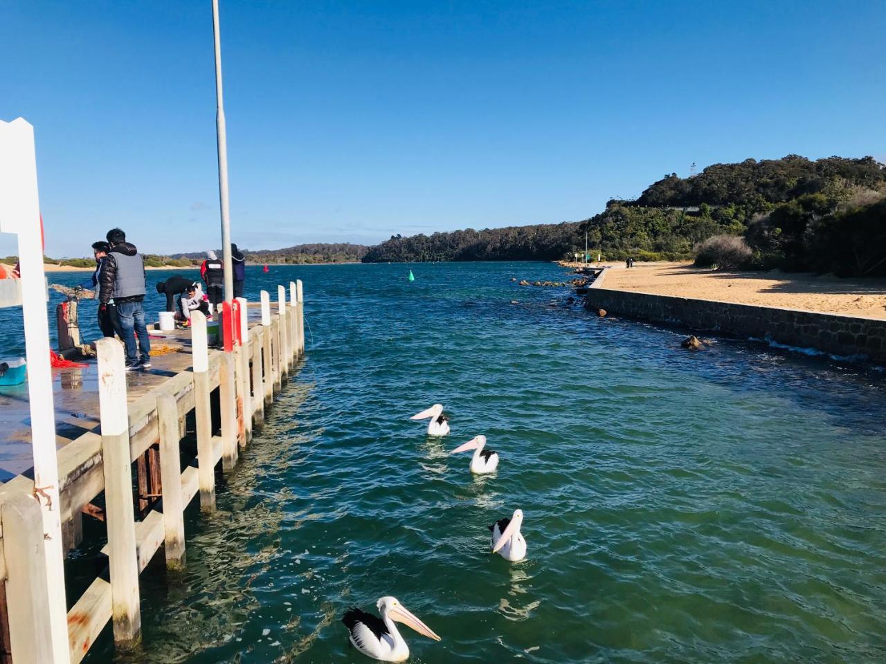 Black Swan Motor Inn Lakes Entrance Extérieur photo